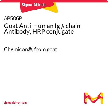 Goat Anti-Human Ig &#955; chain Antibody, HRP conjugate Chemicon&#174;, from goat