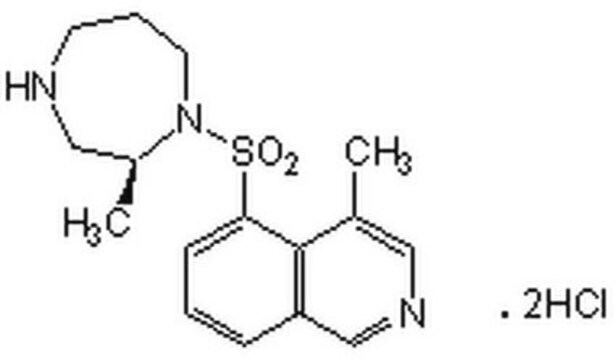 Rho-Kinase-Inhibitor The Rho kinase inhibitor, CAS 872543-07-6, is a cell-permeable, highly specific, reversible, potent, and ATP-competitive inhibitor of Rho-associated kinase (ROCK; Ki = 1.6 nM).