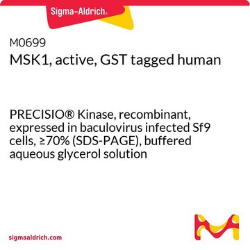 MSK1, active, GST tagged human PRECISIO&#174; Kinase, recombinant, expressed in baculovirus infected Sf9 cells, &#8805;70% (SDS-PAGE), buffered aqueous glycerol solution