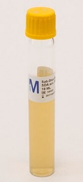 Agar SABOURAUD dextrosa tube capacity × filling volume 25&#160;mL × 18&#160;mL, closure type, yellow cap, box of 20 and 100 tubes