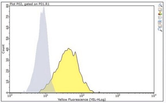 Anti-FcRH5 Antibody, clone F25 clone F25, from mouse