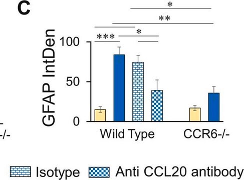 Anticorpo anti-proteina fibrillare acida della glia Chemicon&#174;, from chicken