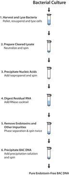 PhasePrep&#8482; BAC DNA试剂盒 Scalable method for isolating large-molecular weight plasmids