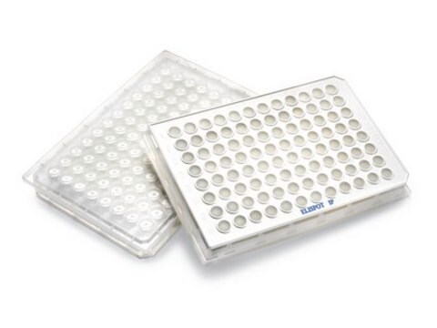 MultiScreen-DV滤板，0.65 &#181;m，透明，非无菌 Receptor binding assays on whole cells and cell fragments, protein kinase/phosphatase assays, bead/resin based assays, sample prep