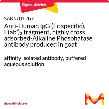 Anti-Human IgG (Fc specific), F(ab&#8242;)2 fragment, highly cross adsorbed-Alkaline Phosphatase antibody produced in goat affinity isolated antibody, buffered aqueous solution