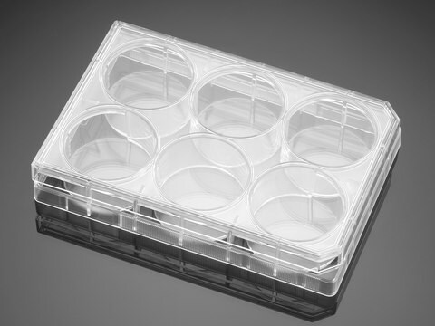 Corning&#174; PureCoat&#8482; Collagen I Peptide Multiwell Plate well size 6&#160;wells, lid, sterile