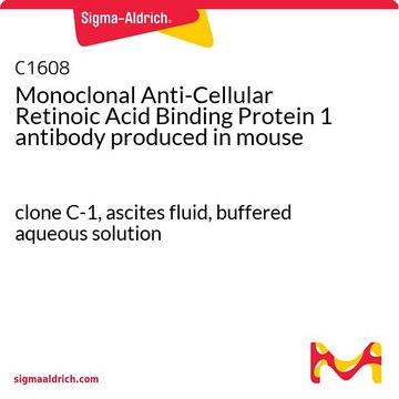 Monoclonal Anti-Cellular Retinoic Acid Binding Protein 1 antibody produced in mouse clone C-1, ascites fluid, buffered aqueous solution