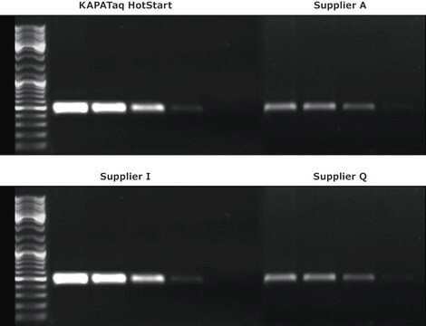 KAPA-Taq-PCR-Kit Buffers with dye