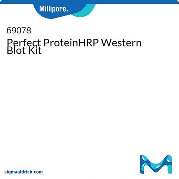 Perfect ProteinHRP Western Blot Kit