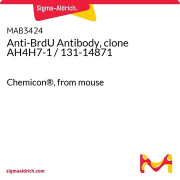 Anti-BrdU-Antikörper, Klon AH4H7-1 / 131-14871 Chemicon&#174;, from mouse