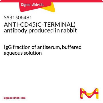 ANTI-CD45(C-TERMINAL) antibody produced in rabbit IgG fraction of antiserum, buffered aqueous solution