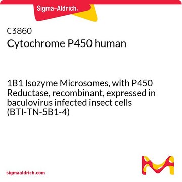 Cytochrome P450 human 1B1 Isozyme Microsomes, with P450 Reductase, recombinant, expressed in baculovirus infected insect cells (BTI-TN-5B1-4)