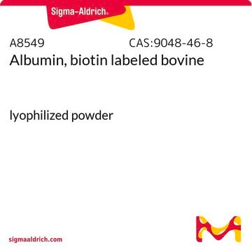 アルブミン, ビオチン標識 ウシ lyophilized powder