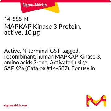 MAPKAP Kinase 3 Protein, active, 10 &#181;g Active, N-terminal GST-tagged, recombinant, human MAPKAP Kinase 3, amino acids 2-end. Activated using SAPK2a (Catalog #14-587). For use in Kinase Assays.