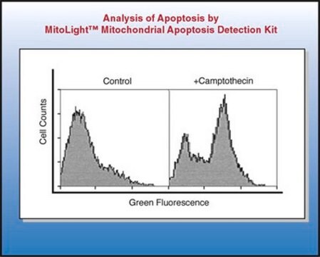 MitoLight Mitochondrial Apoptosis Detection Kit The MitoLight Apoptosis Detection Kit for flow cytometry utilizes a lipophilic cation, termed as MitoLight, as a mitochondrial activity marker.