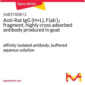 Anti-Rat IgG (H+L), F(ab&#8242;)2 fragment, highly cross adsorbed antibody produced in goat affinity isolated antibody, buffered aqueous solution