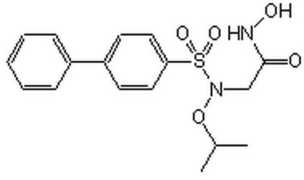 MMP-2 Inhibitor III The MMP-2 Inhibitor III, also referenced under CAS 704888-90-4, controls the biological activity of MMP-2. This small molecule/inhibitor is primarily used for Protease Inhibitors applications.