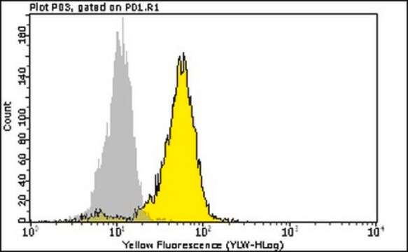 Milli-Mark-Anti-Phospho-Erk1/2-Antikörper (Thr202/Tyr204, Thr185/Tyr187)-PE clone AW39R, Milli-Mark&#174;, from rabbit