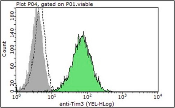 Anti-TIM-3, clone RMT3-23, Azide Free Antibody clone RMT3-23, from rat