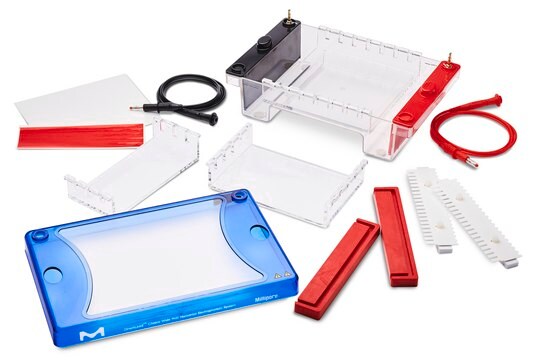 DirectLoad&#8482; Midi Horizontal Electrophoresis System, with 15x7, 10 &amp;15cm gel trays for agarose gel DNA and RNA horizontal electrophoresis