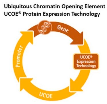 UCOE&#174; Dual Expression Hygromycin Vector Set