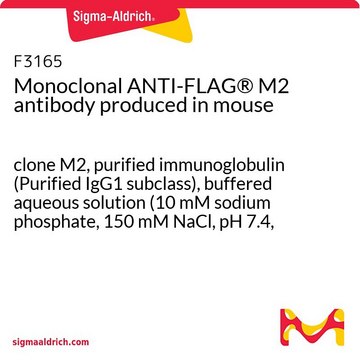 Anticorps monoclonal ANTI-FLAG&#174;&nbsp;M2 antibody produced in mouse clone M2, purified immunoglobulin (Purified IgG1 subclass), buffered aqueous solution (10 mM sodium phosphate, 150 mM NaCl, pH 7.4, containing 0.02% sodium azide)