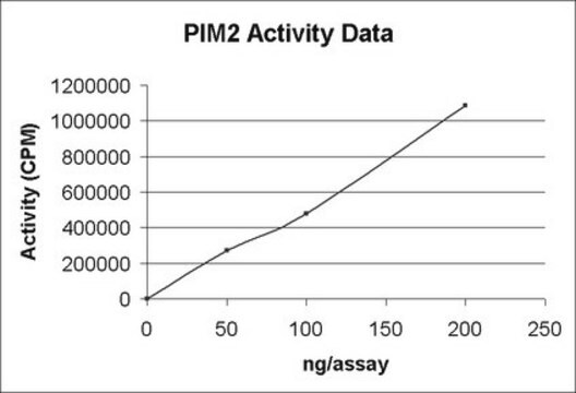 PIM2 Protein, active, 25 &#181;g Active, human PIM2 expressed in E. coli, purified using GSH agarose, for use in Kinase Assays.