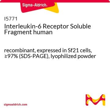 インターロイキン-6レセプター可溶性フラグメント ヒト recombinant, expressed in Sf21 cells, &#8805;97% (SDS-PAGE), lyophilized powder