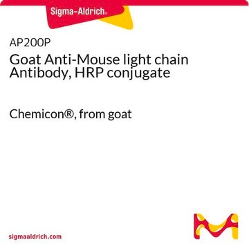 Anticorpo di capra anti-catena leggera di topo, coniugato con HRP Chemicon&#174;, from goat