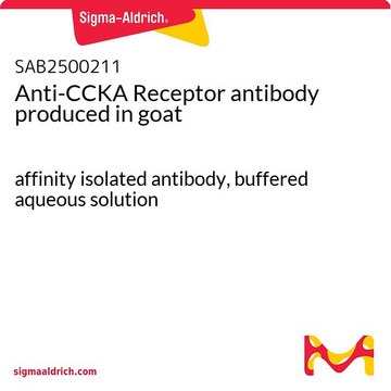 Anti-CCKA Receptor antibody produced in goat affinity isolated antibody, buffered aqueous solution