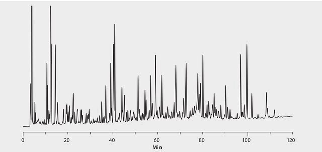 BSA, Carboxyamido-methyliert, Tryptischer Verdau application for HPLC