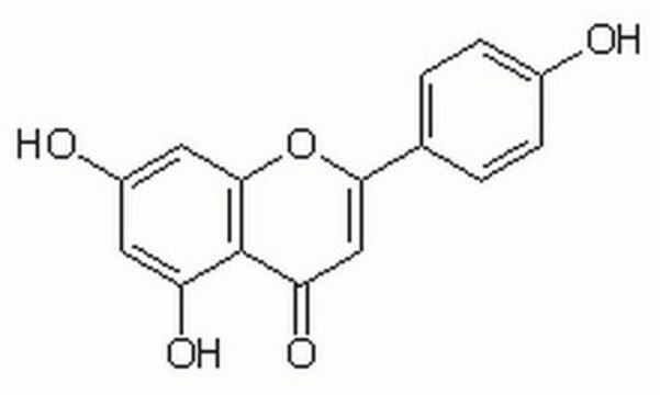 Apigenina Induces the reversion of transformed phenotypes of v-H-ras-transformed NIH 3T3 cells at low concentration (12.5 &#181;M).