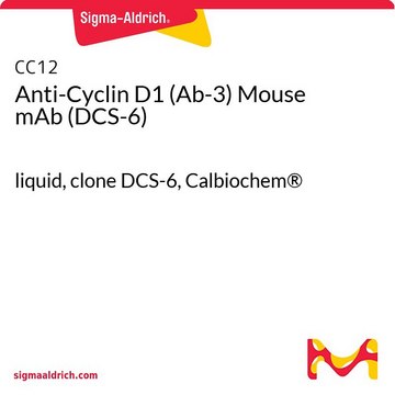 Anty-Cyklina D1 (Ab-3) mysie mAb (DCS-6) liquid, clone DCS-6, Calbiochem&#174;