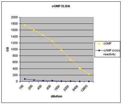 Przeciwciało anty-cGMP (cykliczny GMP) serum, Upstate&#174;