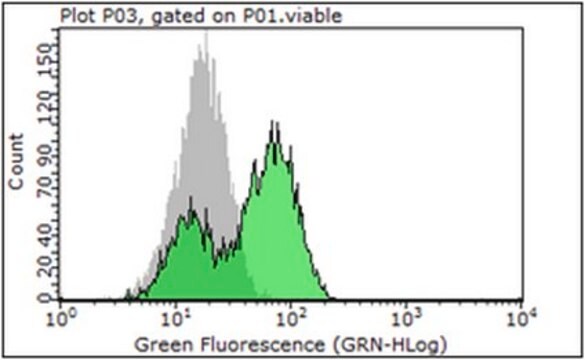 Anticuerpo anti-PSMA, clon 3/A12 clone 3/A12, from mouse