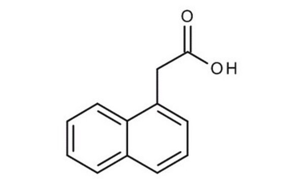 Kwas 1-naftylooctowy for synthesis