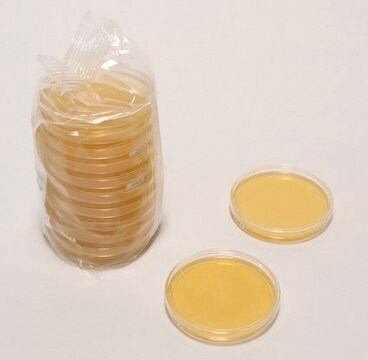 Polymyxin-Pyruvat-Eigelb-Mannit-Bromthymolblau Agar ReadyPlate&#8482; 90mm plate in accordance with ISO for the enumeration of Bacillus cereus in food samples