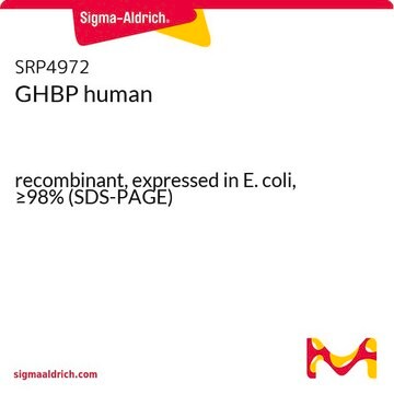 GHBP human recombinant, expressed in E. coli, &#8805;98% (SDS-PAGE)