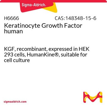 Keratinocyte Growth Factor human KGF, recombinant, expressed in HEK 293 cells, HumanKine&#174;, suitable for cell culture