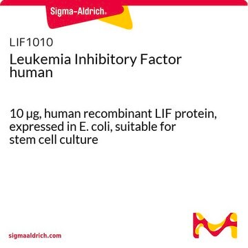 白血病抑制因子人 10 &#181;g, human recombinant LIF protein, expressed in E. coli, suitable for stem cell culture