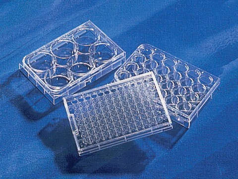 Placas multipocillo de ultra baja fijación Corning&#174; Costar&#174; size 6&#160;well, flat bottom clear, pkg of (individually wrapped), pkg of (24/case), sterile, lid