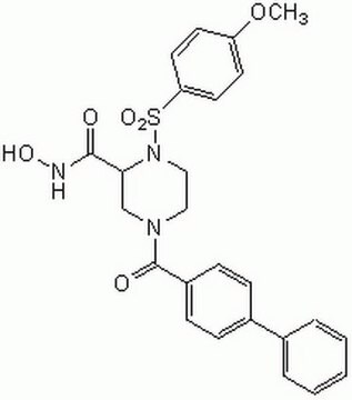 MMP-9/MMP-13-Inhibitor&nbsp;I The MMP-9/MMP-13 Inhibitor I, also referenced under CAS 204140-01-2, controls the biological activity of MMP-9/MMP-13. This small molecule/inhibitor is primarily used for Protease Inhibitors applications.