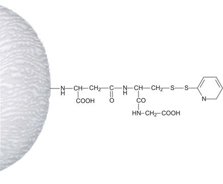 Aktivierte Thiol–Sepharose&#8482; 4B lyophilized powder