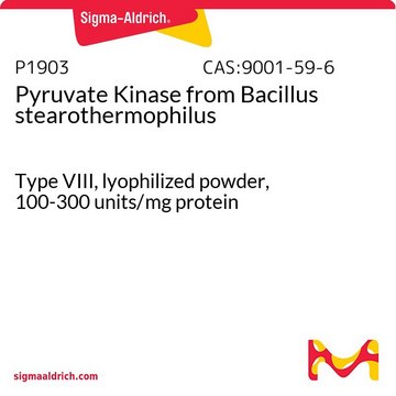 Pyruvat-Kinase aus Bacillus stearothermophilus Type VIII, lyophilized powder, 100-300&#160;units/mg protein