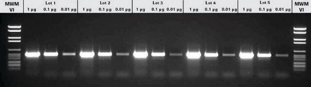 PCRマスター (50 &#956;l final reaction volume each containing 2.5 U Taq DNA-Polymerase), sufficient for 200&#160;reactions, kit of 1 (2 components), suitable for PCR