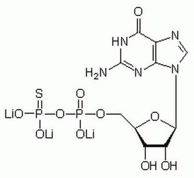 Guanosine 5&#8242;-O-(2-Thiodiphosphate), Trilithium Salt Non-hydrolyzable GDP analog that competitively inhibits G-protein activation by GTP and GTP analogs. Stimulates adenylate cyclase activity in sarcolemmal membranes by inactivating Gi proteins.