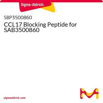 CCL17 Blocking Peptide for SAB3500860