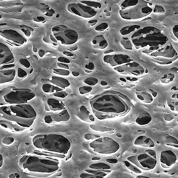 Membrana de filtración de PES, tamaño de poro 0,22 &#956;m Millipore Express&#174;, filter diam. 13&#160;mm, hydrophilic