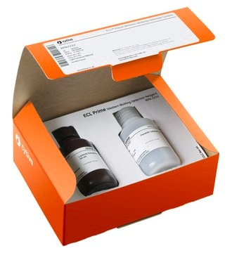 Kit de réactifs ECL&#8482;&nbsp;Prime pour western&nbsp;blot Cytiva RPN2232