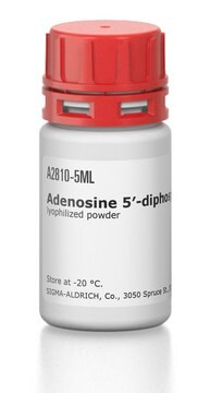 Adenosin-5&#8242;-Diphosphat-Agarose lyophilized powder